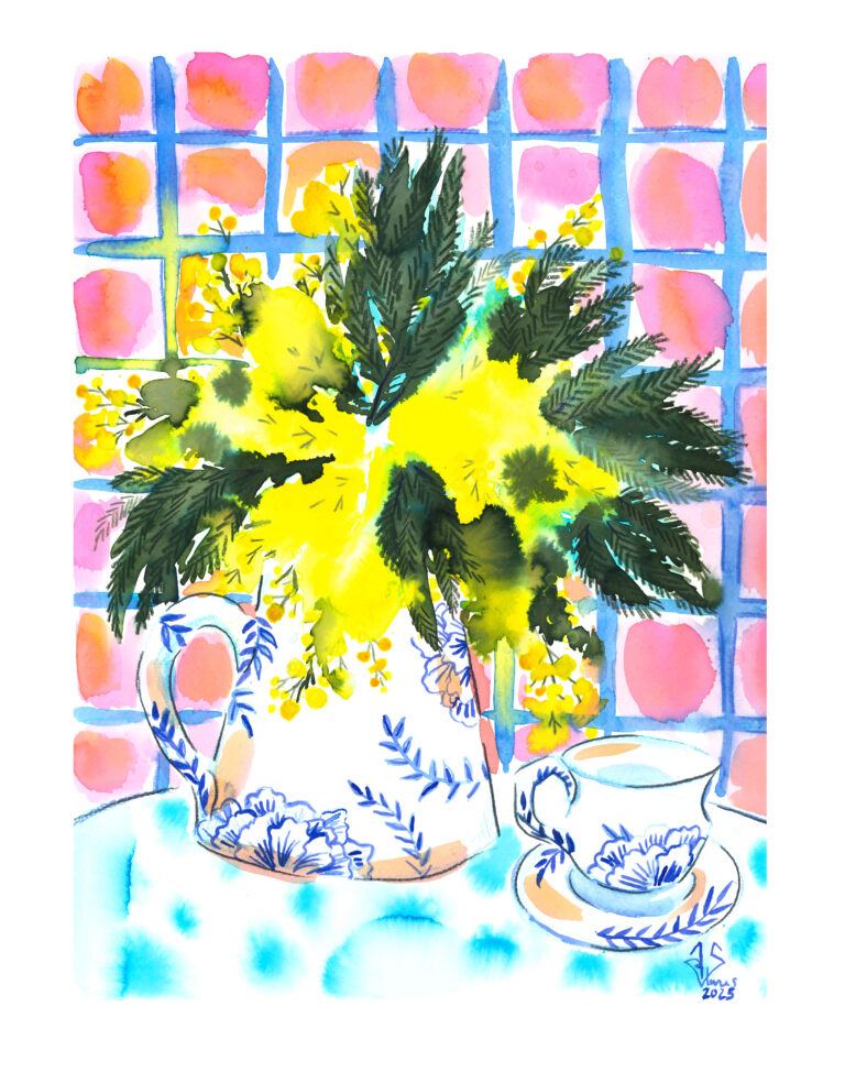 mimosa